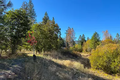 Obrien West #0, O'Brien, OR 97534 - Photo 9