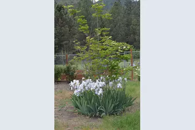 5460 Hwy 238, Jacksonville, OR 97530 - Photo 33