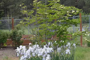 5460 Hwy 238, Jacksonville, OR 97530 - Photo 33