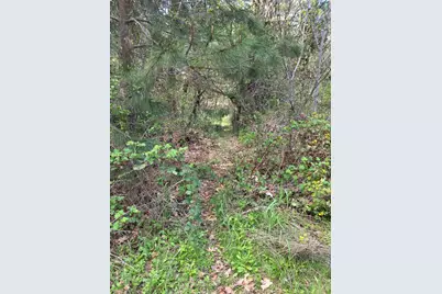 3760 Pleasant Creek Road, Rogue River, OR 97537 - Photo 29