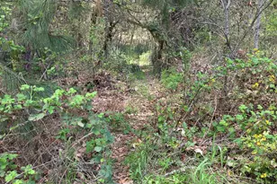 3760 Pleasant Creek Rd, Rogue River, OR 97537 - Photo 29