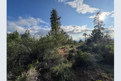 0 Grizzly Lane #14, Bonanza, OR 97623 - Photo 5