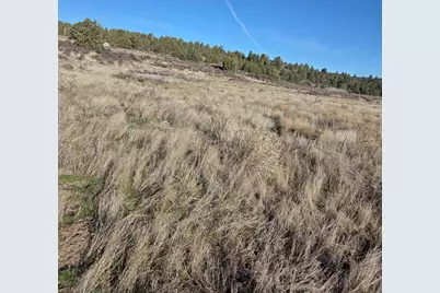 0 Drews Road #Lot 8, Chiloquin, OR 97624 - Photo 3