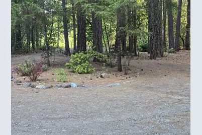 100 Linkhart Drive, Selma, OR 97538 - Photo 17