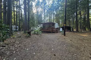 100 Linkhart Dr, Selma, OR 97538 - Photo 15