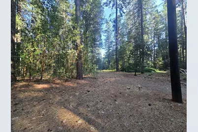 100 Linkhart Drive, Selma, OR 97538 - Photo 19