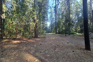 100 Linkhart Dr, Selma, OR 97538 - Photo 19