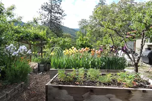 9449 Wagner Creek Rd, Talent, OR 97540 - Photo 53