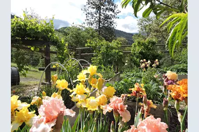 9449 Wagner Creek Road, Talent, OR 97540 - Photo 51