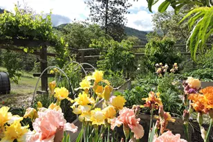 9449 Wagner Creek Rd, Talent, OR 97540 - Photo 51