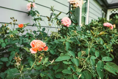 1010 Hemlock Lane, Grants Pass, OR 97527 - Photo 35