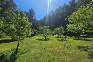 1449 Queen of Bronze Rd, Cave Junction, OR 97523 - Photo 75