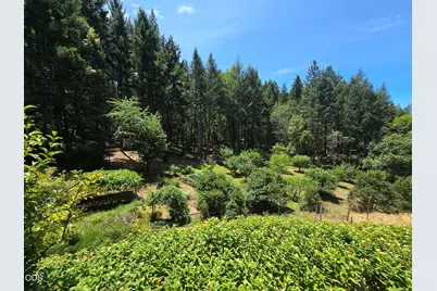 1449 Queen Of Bronze Road, Cave Junction, OR 97523 - Photo 83