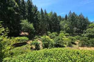 1449 Queen of Bronze Rd, Cave Junction, OR 97523 - Photo 83