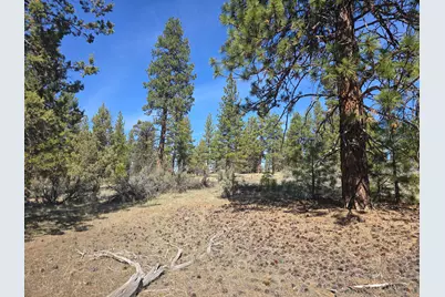 Widgeon Drive #39, Bonanza, OR 97623 - Photo 1