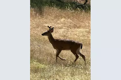 192 Cindy Way, Shady Cove, OR 97539 - Photo 15