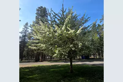 53156 Day Road, La Pine, OR 97739 - Photo 7