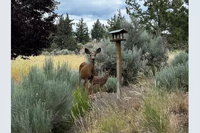 3082 NE Yellowpine Road, Prineville, OR 97754 - Photo 47