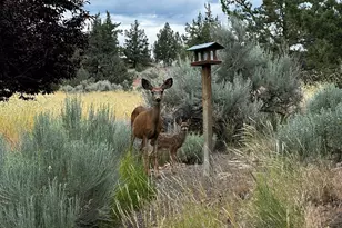 3082 NE Yellowpine Rd, Prineville, OR 97754 - Photo 47