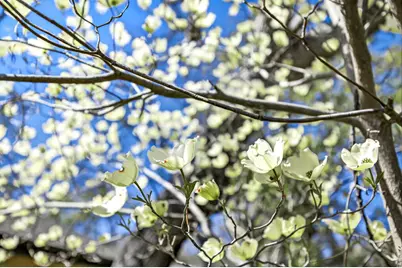 1027 Oak Knoll Drive, Ashland, OR 97520 - Photo 43