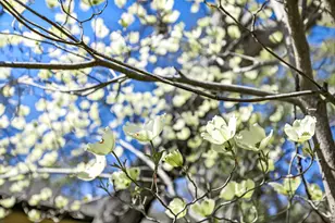 1027 Oak Knoll Dr, Ashland, OR 97520 - Photo 43