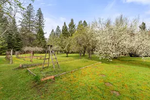 315 Queens Branch Rd, Rogue River, OR 97537 - Photo 31