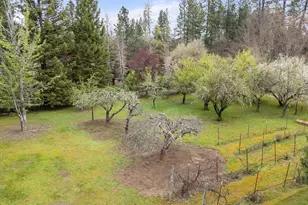 315 Queens Branch Rd, Rogue River, OR 97537 - Photo 35