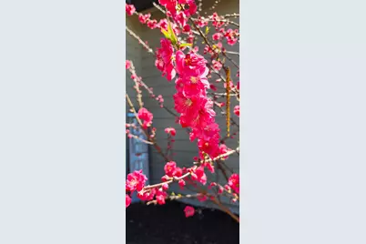 3638 SW 45th Street, Redmond, OR 97756 - Photo 39