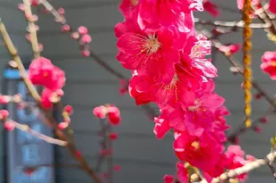 3638 SW 45th St, Redmond, OR 97756 - Photo 39