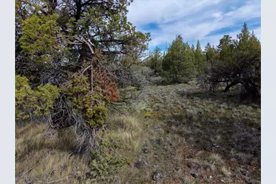 Canvasback Drive #3811-016D0-01400, Bonanza, OR 97623 - Photo 9