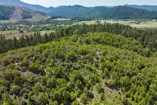 0 Deer Creek Rd, Selma, OR 97538 - Photo 1