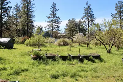 119 Patton Bar Road, Cave Junction, OR 97523 - Photo 9