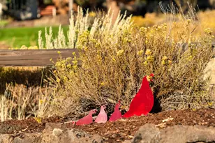 6563 NW Homestead Way, Redmond, OR 97756 - Photo 71