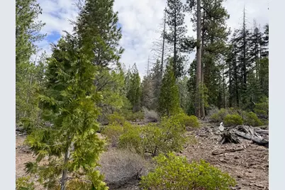 0 Yellowjacket Springs Rd, Beatty, OR 97621 - Photo 3