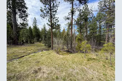 0 Yellowjacket Springs Rd, Beatty, OR 97621 - Photo 9