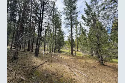 0 Yellowjacket Springs Rd, Beatty, OR 97621 - Photo 11