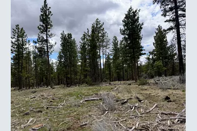 0 Fs 384 Tl 1700, Bonanza, OR 97623 - Photo 7