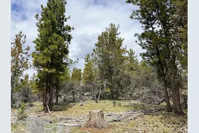 0 Fs 384 Tl 1700, Bonanza, OR 97623 - Photo 15