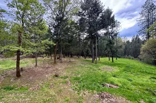 380 Dexter Way, Grants Pass, OR 97527 - Photo 47