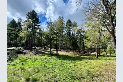 380 Dexter Way, Grants Pass, OR 97527 - Photo 45