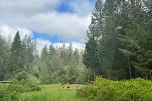 4196 E Evans Creek Rd, Rogue River, OR 97537 - Photo 3