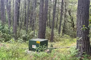 4196 E Evans Creek Rd, Rogue River, OR 97537 - Photo 5