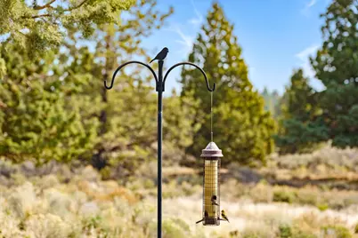 61280 Mountain Breezes Court, Bend, OR 97702 - Photo 53