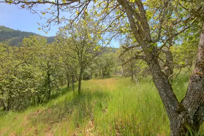 8150 Upper Applegate Road, Jacksonville, OR 97530 - Photo 119