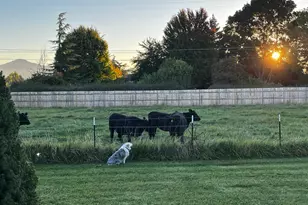 826 Oak Grove Rd, Medford, OR 97501 - Photo 49