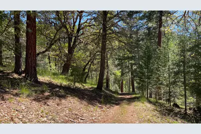 5225 Sterling Creek Road, Jacksonville, OR 97530 - Photo 133