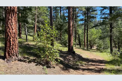 5225 Sterling Creek Road, Jacksonville, OR 97530 - Photo 129