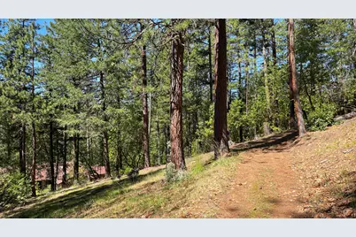 5225 Sterling Creek Road, Jacksonville, OR 97530 - Photo 129