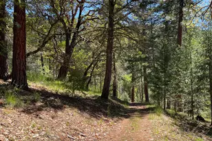 5225 Sterling Creek Rd, Jacksonville, OR 97530 - Photo 137