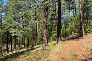 5225 Sterling Creek Rd, Jacksonville, OR 97530 - Photo 133